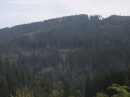 Cozy Holiday Apartment in the Harz