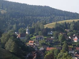 Cozy Holiday Apartment in the Harz