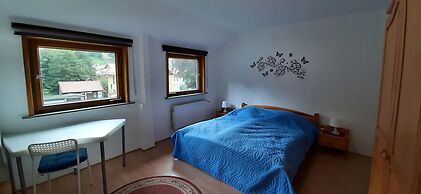 Cozy Holiday Apartment in the Harz