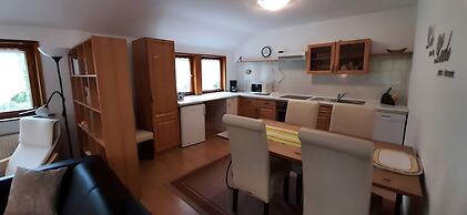 Cozy Holiday Apartment in the Harz