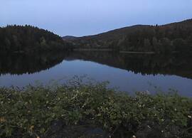 Cozy Holiday Apartment in the Harz