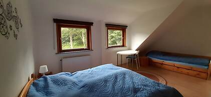 Cozy Holiday Apartment in the Harz