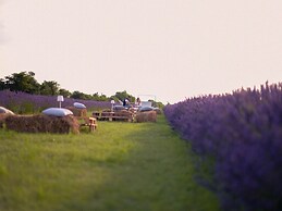 Farmhouse With Spacious Garden and Pool