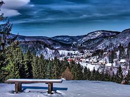 Holiday Home Mountain View