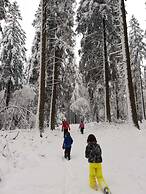 Holiday Home in the Belgian Eifel