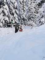 Holiday Home in the Belgian Eifel