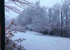 Gorgeous Vacation Home With Pool