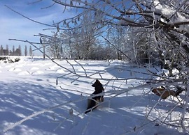 Gorgeous Vacation Home With Pool