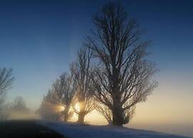 Gorgeous Vacation Home With Pool