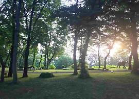 Gorgeous Vacation Home With Pool