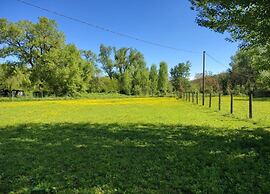 Gorgeous Vacation Home With Pool
