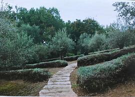Gorgeous Vacation Home With Pool