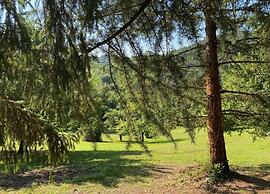 Gorgeous Vacation Home With Pool