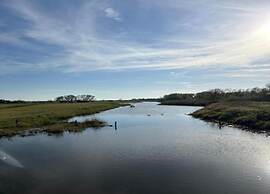 Chalet With Pond View in Gelderland
