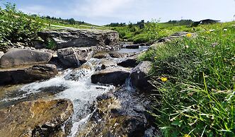 Modern Apartment With Swimming Pool in Damuls