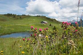 Modern Apartment With Swimming Pool in Damuls