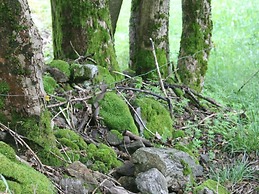 Haus Hiller Comfortable Holiday Residence