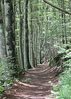 Haus Hiller Comfortable Holiday Residence