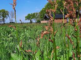 Nice Lodge With Unobstructed View in Drenthe