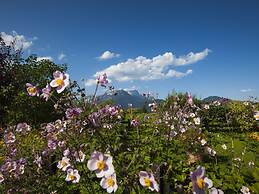 Rooster 2 -kierngasshausl-