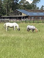 Holiday Home Schwalm