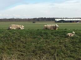 Detached Holiday Home Near Alkmaar