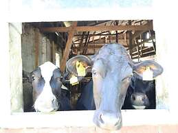 Holiday Home Heinrich