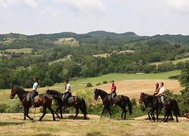 Serene Chianti Retreat