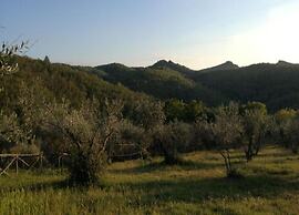Serene Chianti Retreat