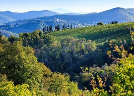 Serene Chianti Retreat
