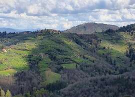 Serene Chianti Retreat