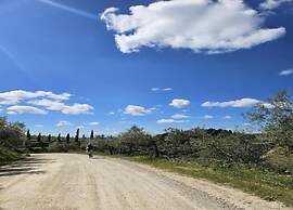 Serene Chianti Retreat