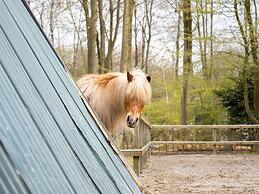 Beautiful Lodge With Wellness