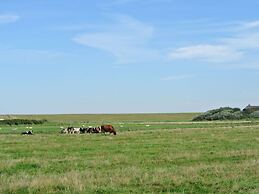 South Case in the House aft Diek