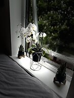 Croydon Cozy Retreat - 2 Bedroom Luxury Home