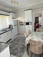 Gokcen Home