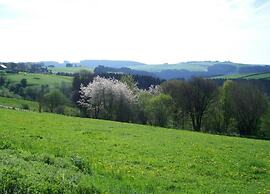 Romantic Hideaway in Hellenthal