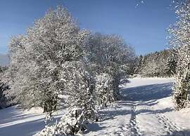 Romantic Hideaway in Hellenthal