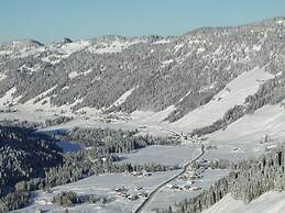 Alpenrosle Comfortable Holiday Residence