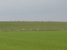 Beach Hair Friesian Residence
