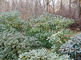 7 Person Holiday Home in Falkenberg-by Traum