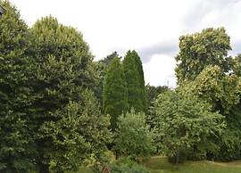 Holiday Home Klein Rosselaer for Four Person