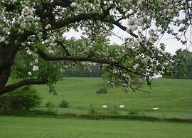 Holiday Home Klein Rosselaer for Four Person