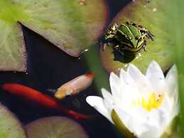 Living Lust 3 in Malchow