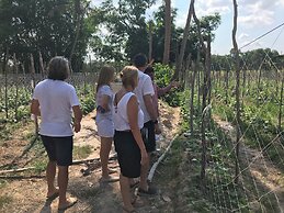 Madam Sokha Homesteading