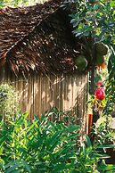 Madam Sokha Homesteading