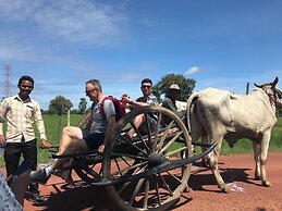 Madam Sokha Homesteading