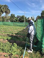 Madam Sokha Homesteading