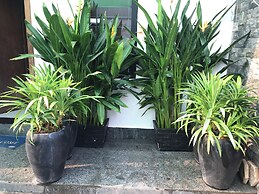 Madam Sokha Homesteading