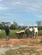Madam Sokha Homesteading